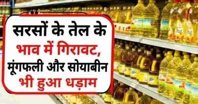 mustard oil price   सरसों के तेल का दाम हुआ काफी कम  जानिए 1 लीटर तेल का ताजा भाव