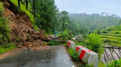 अल्मोड़ा   मनान के पास जड़ से‌‌ उखड़ा पेड़ सड़क के आर पार हुआ